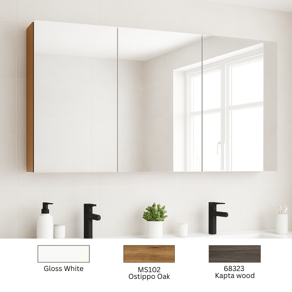 Mirror Cabinet MC120